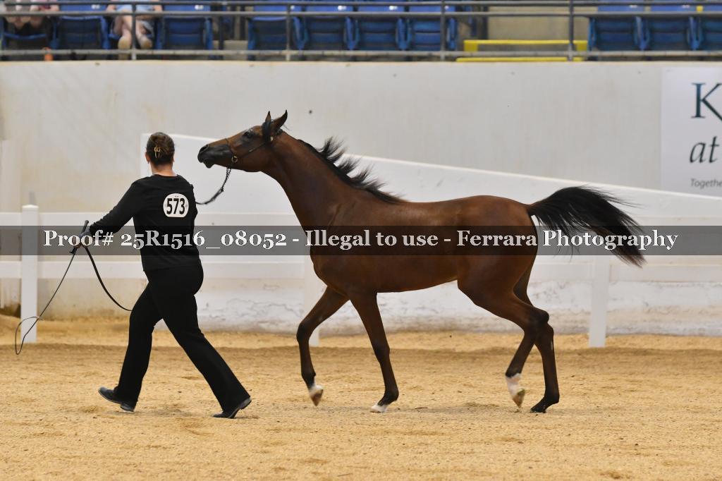 Proof Number 25R1516_08052