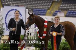25R1516_08053 thumbnail