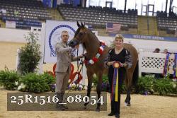 25R1516_08054 thumbnail