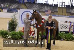 25R1516_08055 thumbnail