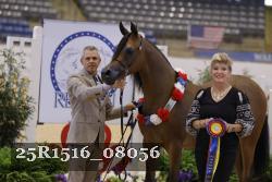 25R1516_08056 thumbnail
