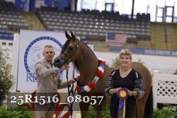 25R1516_08057 thumbnail