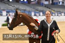 25R1516_08058 thumbnail