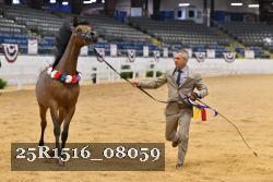 25R1516_08059 thumbnail