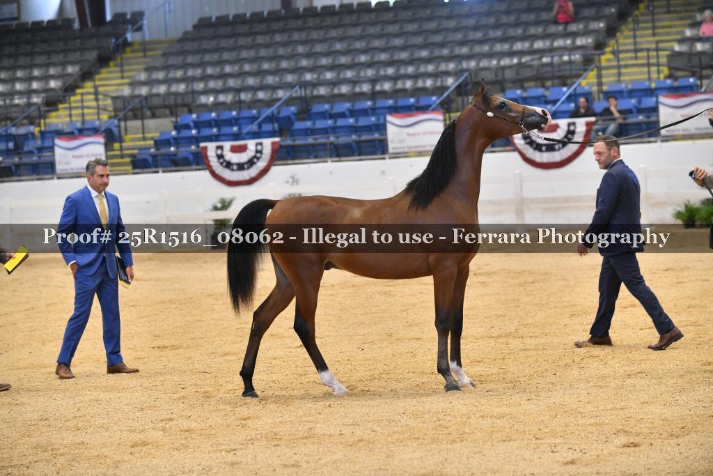 Proof Number 25R1516_08062