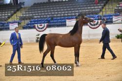 25R1516_08062 thumbnail