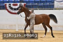 25R1516_08063 thumbnail