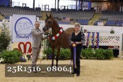 25R1516_08064 thumbnail