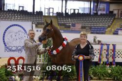 25R1516_08065 thumbnail