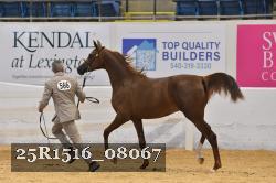 25R1516_08067 thumbnail