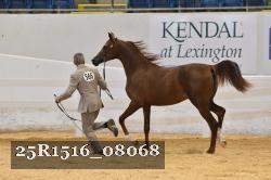 25R1516_08068 thumbnail
