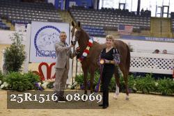 25R1516_08069 thumbnail
