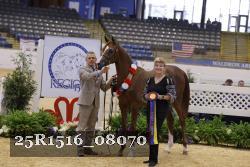 25R1516_08070 thumbnail