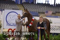 25R1516_08071 thumbnail