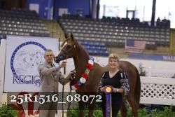 25R1516_08072 thumbnail