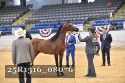 25R1516_08076 thumbnail