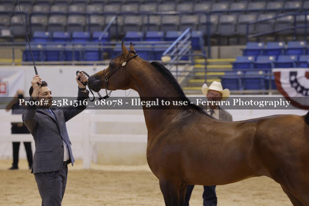 Proof Number 25R1516_08078