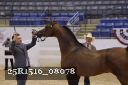 25R1516_08078 thumbnail