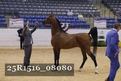 25R1516_08080 thumbnail