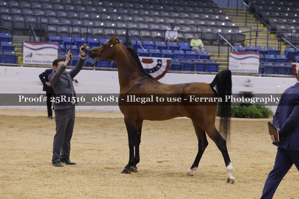 Proof Number 25R1516_08081