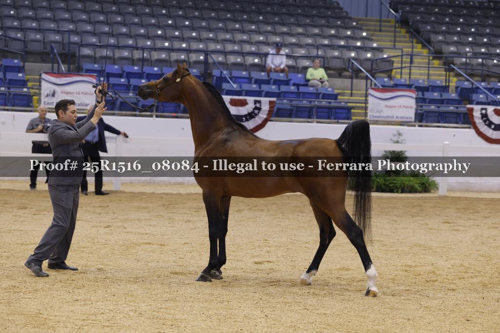 Proof Number 25R1516_08084