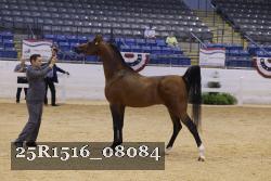 25R1516_08084 thumbnail