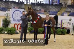 25R1516_08085 thumbnail