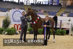 25R1516_08086 thumbnail