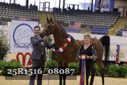 25R1516_08087 thumbnail