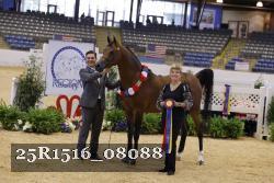 25R1516_08088 thumbnail