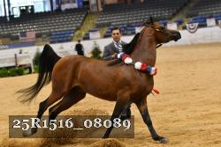 25R1516_08089 thumbnail
