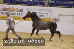 25R1516_08090 thumbnail