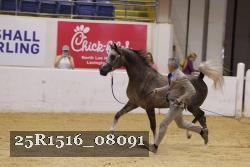 25R1516_08091 thumbnail