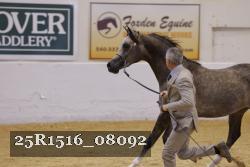 25R1516_08092 thumbnail