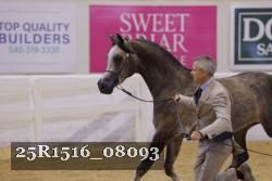 25R1516_08093 thumbnail