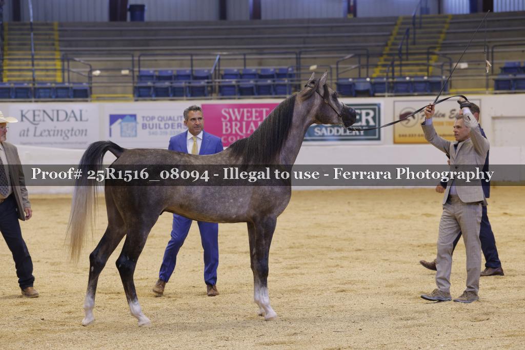 Proof Number 25R1516_08094