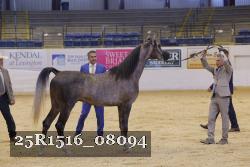 25R1516_08094 thumbnail