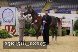 25R1516_08095 thumbnail