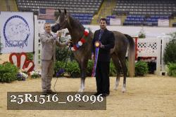 25R1516_08096 thumbnail