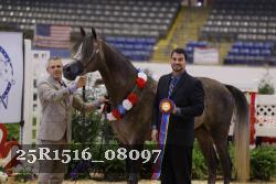 25R1516_08097 thumbnail