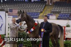 25R1516_08098 thumbnail