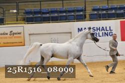 25R1516_08099 thumbnail
