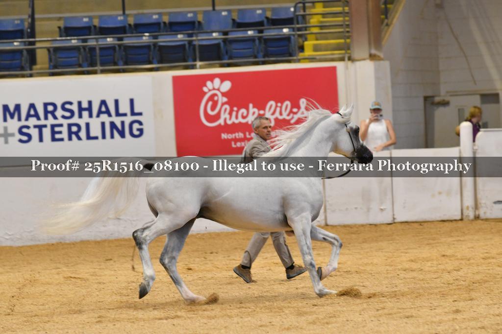 Proof Number 25R1516_08100