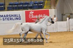 25R1516_08100 thumbnail