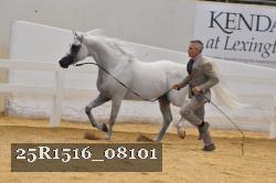 25R1516_08101 thumbnail
