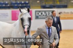 25R1516_08102 thumbnail