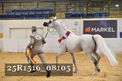 25R1516_08105 thumbnail