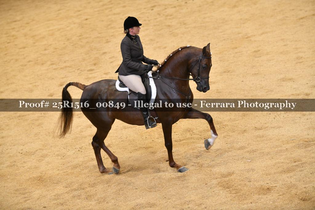 Proof Number 25R1516_00849