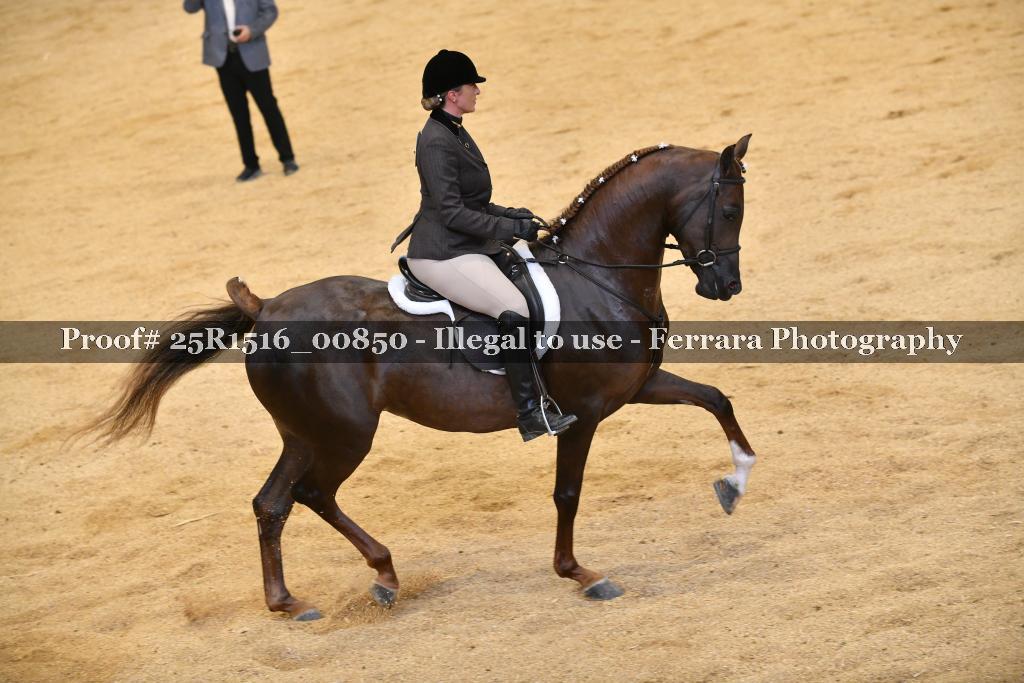 Proof Number 25R1516_00850