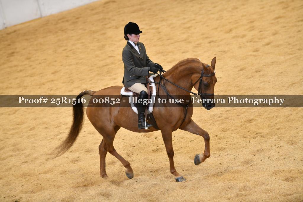 Proof Number 25R1516_00852